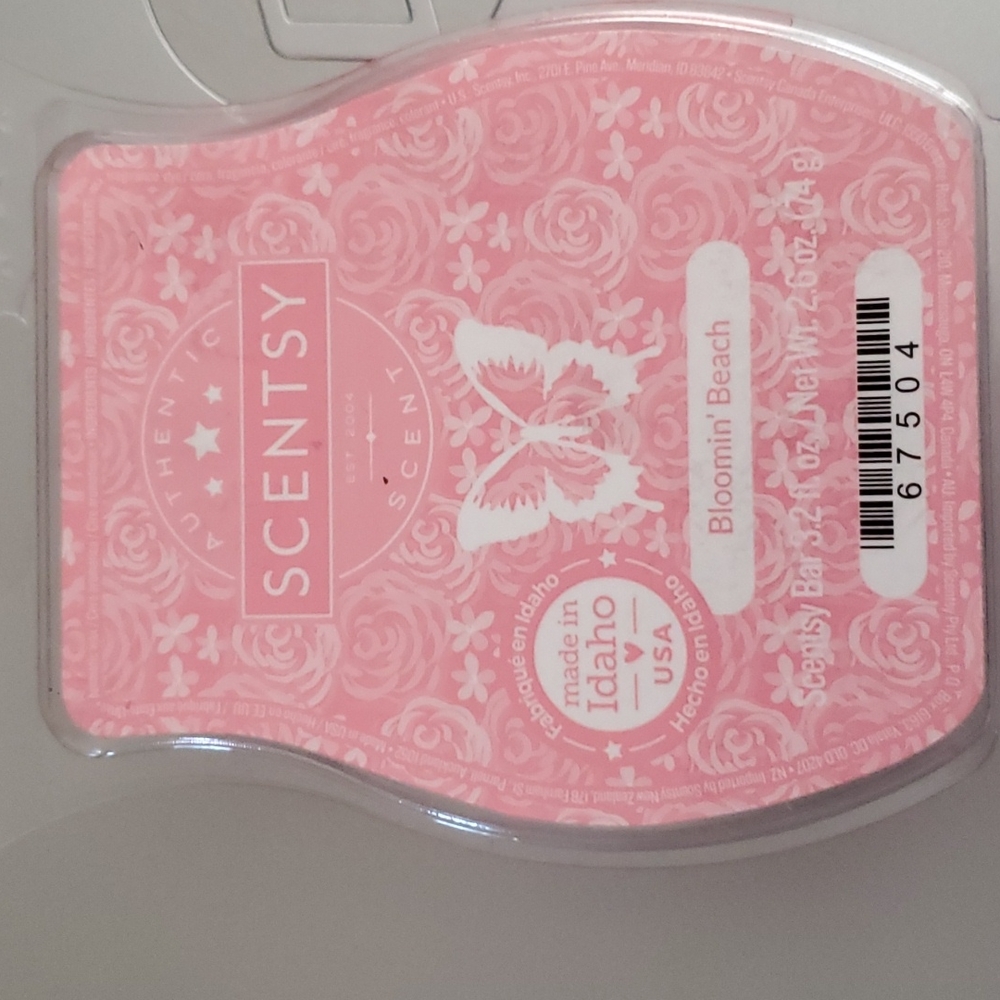 Scentsy Bloomin Beach wax melts